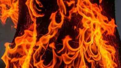 कर्नाटक: भूमि विवाद से परेशान किसान ने आत्मदाह कर दी जान