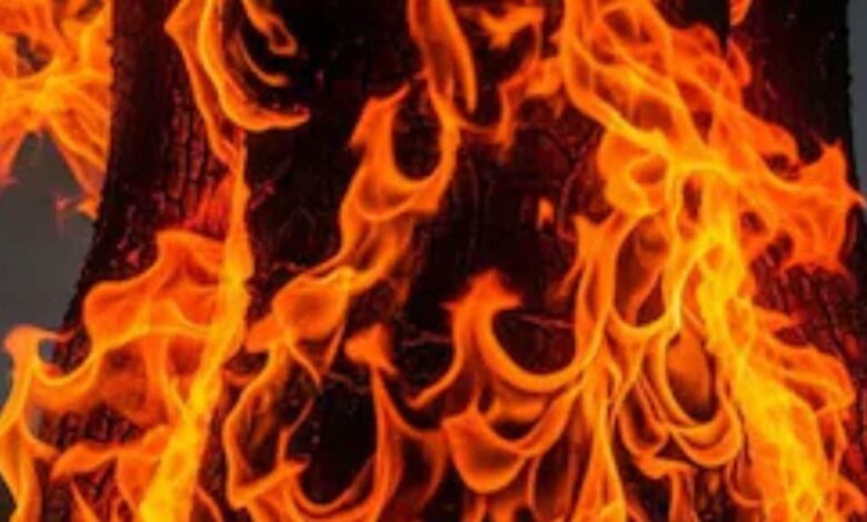 कर्नाटक: भूमि विवाद से परेशान किसान ने आत्मदाह कर दी जान