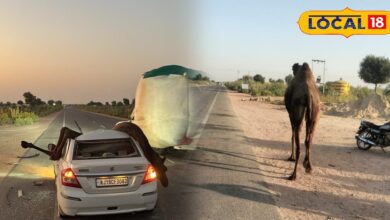 कार की छत तोड़कर अंदर घुसा ऊंट, जेसीबी से निकाला बाहर, मरते-मरते बचा ड्राइवर..