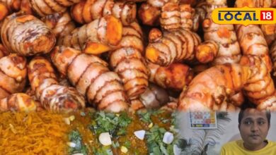 किचन से आयुर्वेद तक सनसनी! जालोर में हल्दी की सब्जी बनी विंटर हिट, डॉक्टर भी बता रहे फायदे