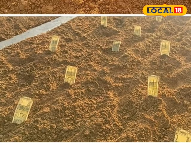 नागौर किसान ने फसल बीमा न मिलने पर खेत में नोट बोए, वीडियो वायरल
