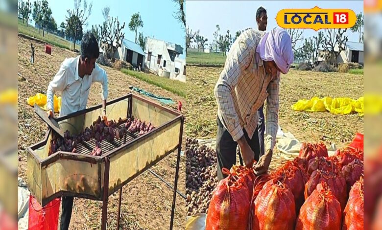 किसानों की आय बढ़ाने का बड़ा मौका, फल-सब्जी प्रोसेसिंग यूनिट पर सरकार दे रही है ये फायदा – News18 हिंदी