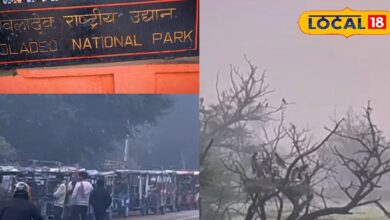 केवलादेव में ऐसा क्या आया जिसे देखने देश-विदेश से खिंचे चले आ रहे हैं लोग!