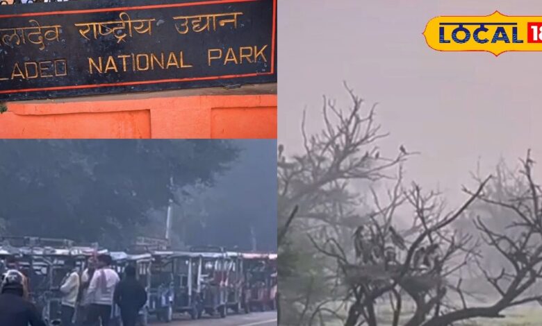 केवलादेव में ऐसा क्या आया जिसे देखने देश-विदेश से खिंचे चले आ रहे हैं लोग!