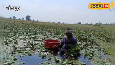 खेत नहीं, तालाबों में उगता है ये फल! खाने में है लाजवाब, लोग कहते हैं 'पानी का फल' – News18 हिंदी