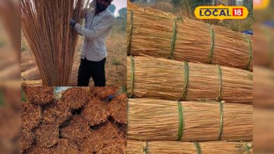 खेतों की बेकार घास बनी कमाई का जरिया, देसी फर्नीचर और झोपड़ियां बनाकर लोग कमा रहे मुनाफा