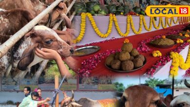गोपाष्टमी पर गौशाला में गौमाता को छप्पन भोग व पूजा
