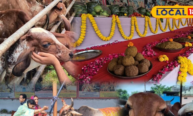 गोपाष्टमी पर गौशाला में गौमाता को छप्पन भोग व पूजा