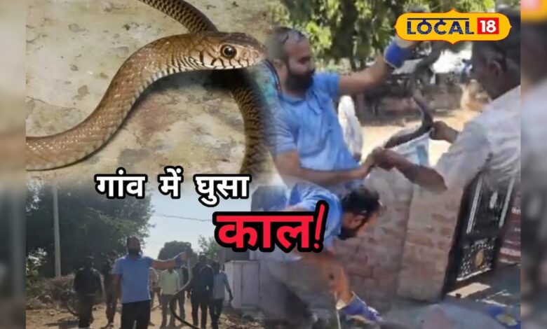 घर की पाइप में छिपा था मौत का साया! देख गांववालों की थमी सांसें, पाली का वीडियो वायरल
