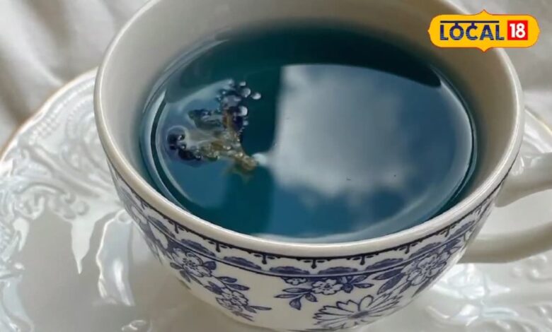 घर पर बनाएं इस नीले फूलों की हर्बल टी, वजन होगा कम... सेहत होगा बम-बम, कई रोगों से मिलेगी मुक्ति