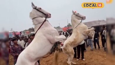 घोड़े भी झूमे ताल पर! पुष्कर मेले में दिखा ऐसा नज़ारा कि लोग देखते रह गए – News18 हिंदी
