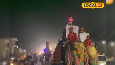 चार हाथी, चार बग्गियां और राजाओं जैसी बारात, साटीया समाज की पहली पढ़ी-लिखी दुल्हन की शाही बारात