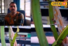 छोटे फ्रैक्चर बिना ऑपरेशन तेजी से हो रहे ठीक, लोग छोड़ रहे आधुनिक दवाएं! – News18 हिंदी