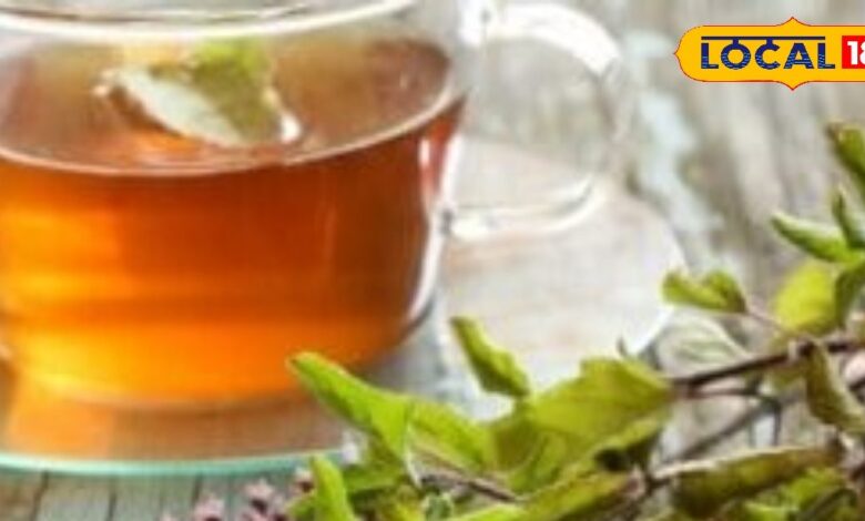 छोड़िए दूध वाली चाय और पीएं तुलसी की चाय जो करेगी इम्यूनिटी मजबूत, जानें फायदे