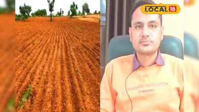 जमीन की रजिस्ट्री कराने से पहले ज़रूर पढ़ें ये बातें, नहीं तो हो सकती है धोखाधड़ी! एक्सपर्ट ने बताए सीक्रेट टिप्स