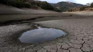 जलवायु परिवर्तन का कड़वा सच: 70% आबादी तपिश-सूखे से बेहाल, 19000 भारतीयों का छलका दर्द