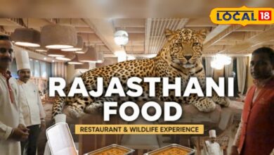 जवाई के जंगल में दहाड़ते लेपर्ड के बीच दालबाटी का धमाका - पाली के आरामगाह रिसॉर्ट में मिलता है असली राजस्थानी जायका!
