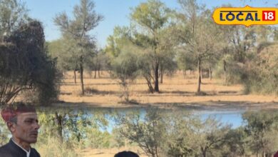 जैविक खेती में मुरारदान बारहठ की खेजड़ी आधारित तकनीक हरमू गांव जालोर.