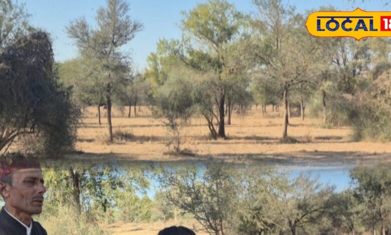 जैविक खेती में मुरारदान बारहठ की खेजड़ी आधारित तकनीक हरमू गांव जालोर.