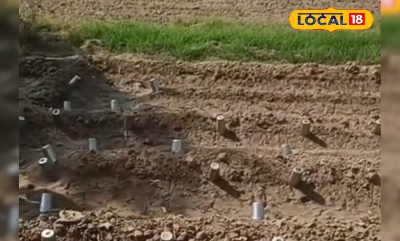 जोधपुर किसान का देसी इनोवेशन वायरल, इस तकनीक से खरपतवार पर पाया काबू, आप भी कर सकते हैं ट्राई