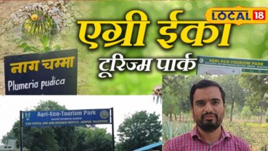 जोधपुर के काजरी में देश का पहला एग्री ईको टूरिज्म पार्क, जहां मिट्टी, विज्ञान और प्रकृति का है अनोखा संगम!