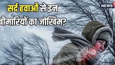 ठंड के साथ तेज हवाओं की दस्तक... इन 5 गंभीर बीमारियों का बढ़ सकता जोखिम, इन तरीकों से करें बचाव, वरना...