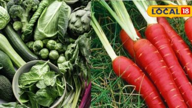 ठंड को चकमा दो... रोज खाओ ये 5 देसी फूड, सर्दी-खांसी भूलकर भी नहीं आएगी पास - Bihar News