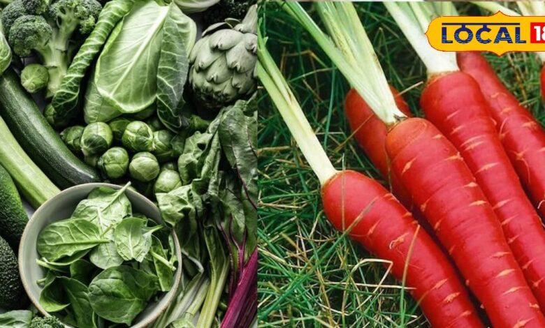 ठंड को चकमा दो... रोज खाओ ये 5 देसी फूड, सर्दी-खांसी भूलकर भी नहीं आएगी पास - Bihar News