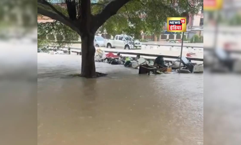 थाईलैंड की बाढ़ में बहकर आया 'यमराज', सड़क पर तैरते इस विशालकाय अजगर को देख लोगों की सांसें थमीं