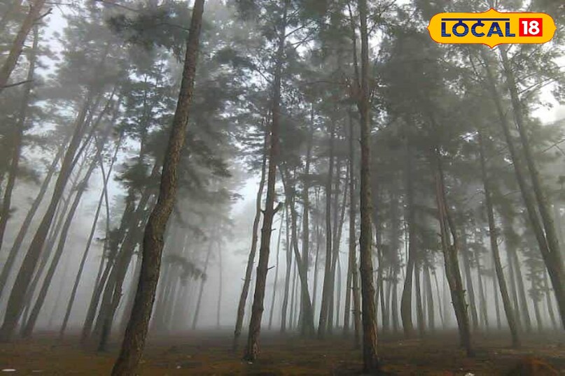 लांबासिंगी वह अनूठा और एकमात्र स्थान है जो दक्षिण भारत में खासी ठंड के कारण बर्फबारी का अनुभव प्रदान करता है। जब दक्षिण के अधिकांश हिस्से हल्की सर्दियाँ बिता रहे होते हैं, लांबासिंगी की पहाड़ियाँ सफेद चादर ओढ़ लेती हैं