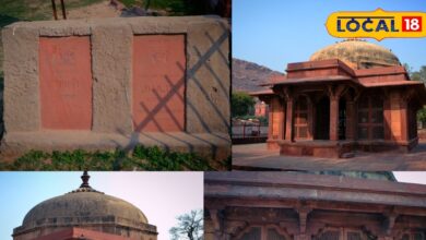 धरोहर: राजस्थान की कला और स्थापत्य का नायाब नमूना है बयाना की यह छतरी, दूर-दूर से दीदार करने आते हैं लोग