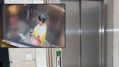 नौकरानी ने लिफ्ट में किया दिल दहला देने वाला काम, पालतू कुत्ते के साथ...CCTV में पूरा सच कैद