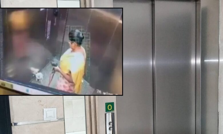 नौकरानी ने लिफ्ट में किया दिल दहला देने वाला काम, पालतू कुत्ते के साथ...CCTV में पूरा सच कैद