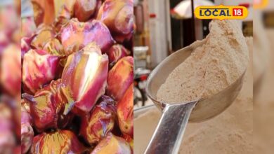 पानी में उगने वाले इस फल में छुपा है हेल्थ का खजाना! BP से लेकर वजन और मूड सब रहेगा कंट्रोल – News18 हिंदी