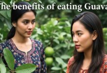 पोषक तत्वों से लबालब है यह मौसमी फल, डायबिटीज, बीपी और हार्ट के मरीजों के लिए अमृत समान! वजन भी रखता कंट्रोल