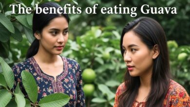 पोषक तत्वों से लबालब है यह मौसमी फल, डायबिटीज, बीपी और हार्ट के मरीजों के लिए अमृत समान! वजन भी रखता कंट्रोल