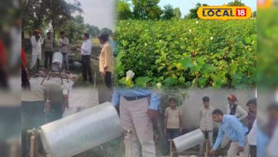 बीज बोने से पहले अगर ये नहीं किया, तो घट जाएगी उपज का आधा हिस्सा! कृषि विभाग ने दी ये सलाह – News18 हिंदी