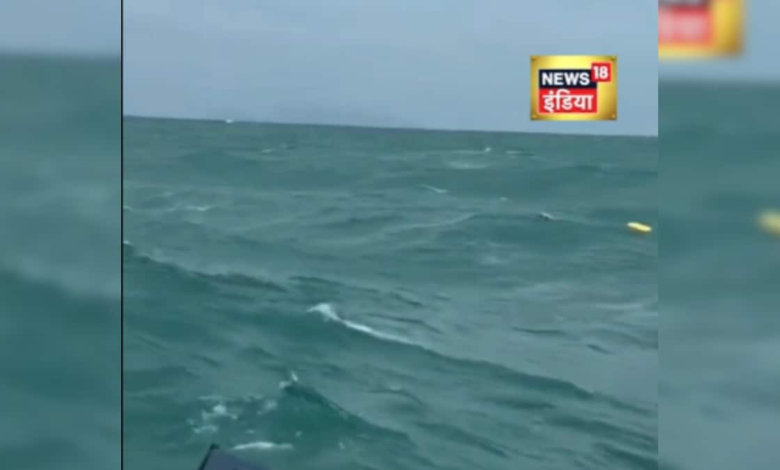 बैगों का पानी में स्विमिंग शो! थाईलैंड में फेरी से गिरे बैग्स, यात्रियों का सामान हुआ बाइ-बाइ देखें वायरल वीडियो