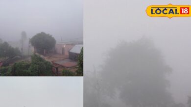 भरतपुर में सर्दियों की दस्तक के साथ सुबह छाया घना कोहरा... लोगों को हुआ ठंड का असर महसूस