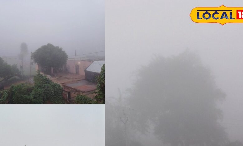 भरतपुर में सर्दियों की दस्तक के साथ सुबह छाया घना कोहरा... लोगों को हुआ ठंड का असर महसूस