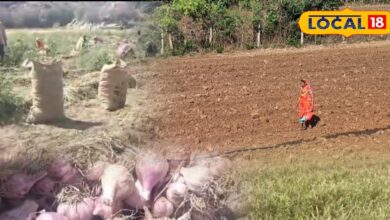 भीलवाड़ा में लहसुन की खेती का धमाका! वैज्ञानिक तकनीक से किसान उठा रहे बेमिसाल मुनाफा