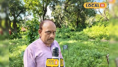 महिलाओं से लेकर बुजुर्गों तक के लिए वरदान है शतावरी, पाचन, इम्युनिटी समेत कई रोगों में उपयोगी; जानें सेवन का सही तरीका