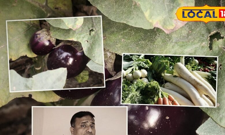 मार्गशीर्ष में भूलकर भी न खाएं बैंगन-मूली! ज्योतिषाचार्यों ने बताया धर्म और सेहत से जुड़ा बड़ा रहस्य