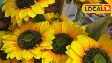 मुंबई मलाड में सस्ते आर्टिफ़िशियल फूल होलसेल में खरीदें