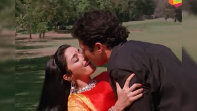 मैं तेरी मोहब्बत में पागल हो जाऊंगा... माधुरी दीक्षित के रूप को देख मर मिटे थे सनी देओल, टूटकर किया था इश्क