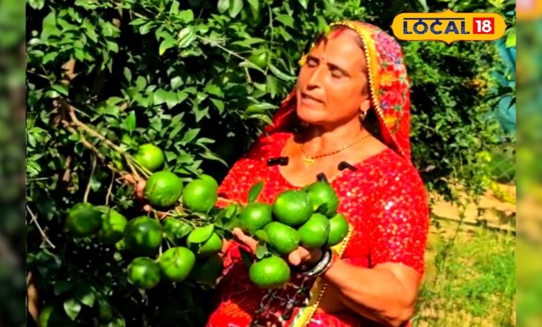 मौसंबी की खेती से बदली महिला किसान की तकदीर, सालाना हो रही तगड़ी कमाई, जानें कम लागत में खेती कैसे करें