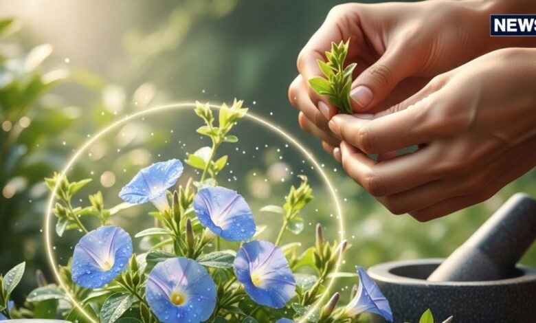 ये है तनाव दूर करने का सस्ता आयुर्वेदिक टॉनिक! सेवन करने से दिमाग को मिलेगी ठंडक, मन भी हमेशा रहेगा शांत