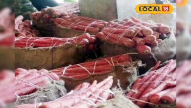 राजस्थान का कमाल! अलवर की लाल गाजर ने जीता देश का दिल, किसान बोले, ऐसी पैदावार पहले कभी नहीं! – News18 हिंदी