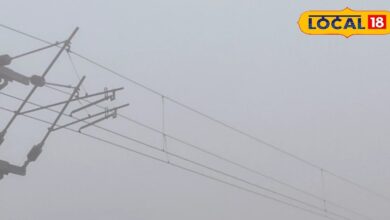 राजस्थान का मौसम: ठंडी हवाओं ने बढ़ाई कंपकंपी! सीकर, फतेहपुर और शेखावाटी में 6-8 डिग्री तापमान, इन जिलों में बारिश का अलर्ट