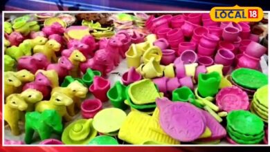 राजस्थान के इस गांव की मिट्टी से बने खिलौने अमेरिका और फ्रांस तक बना रहे अपनी पहचान...जानिए इसकी खासियत